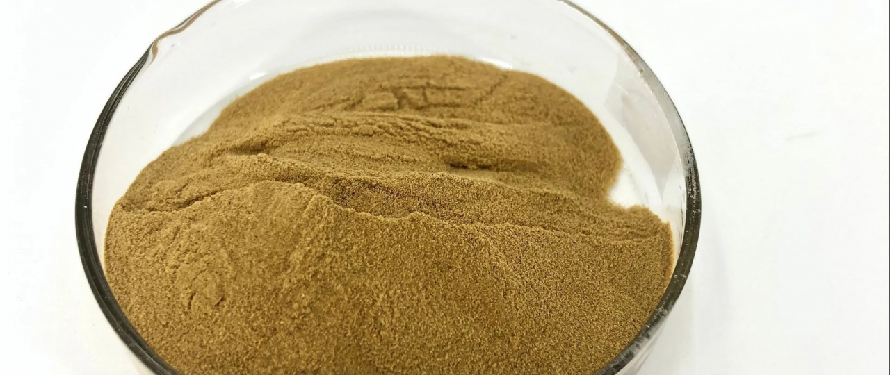 Экстракт солодки, высушенный распылением (Spray Dried Powder) – инновационный натуральный продукт